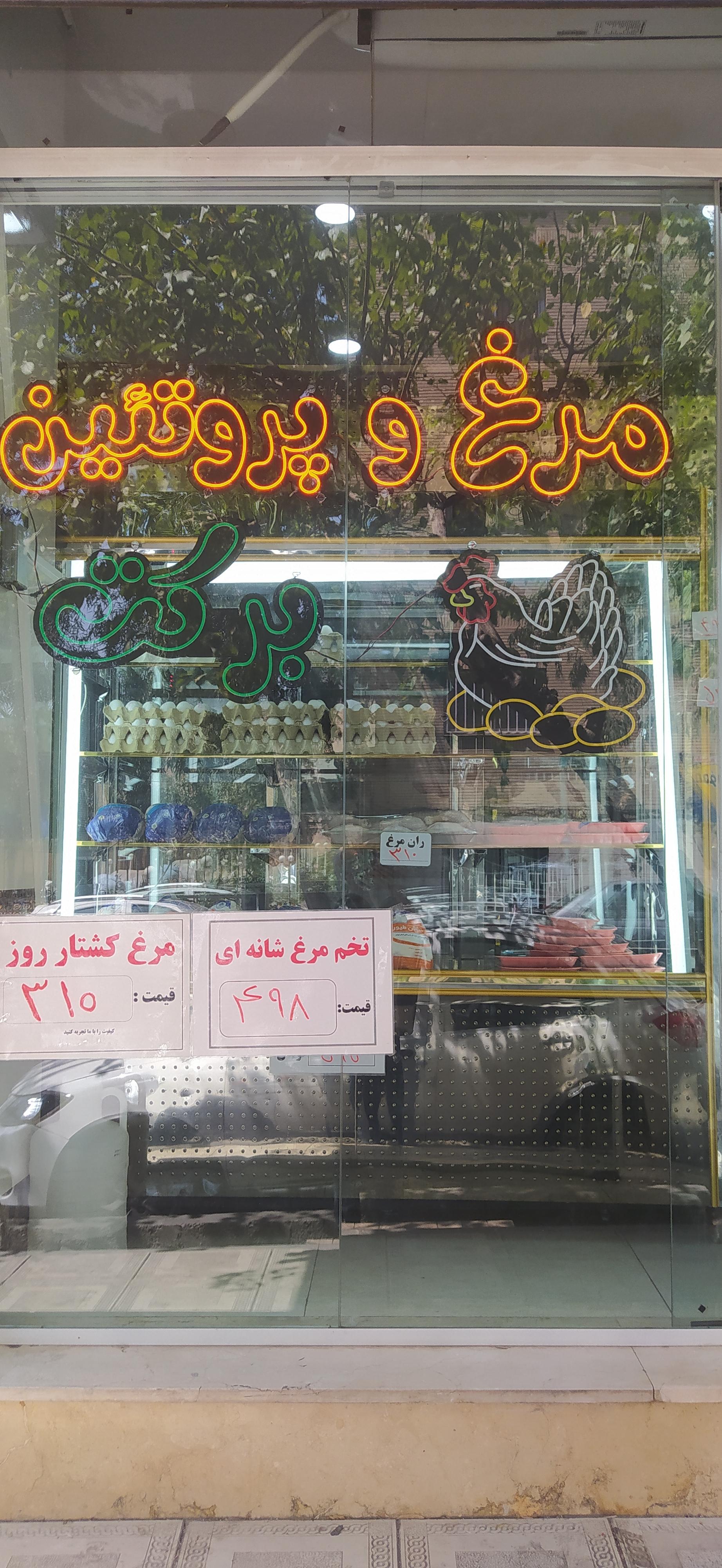 عکس مرغ و تخم‌ مرغ برکت