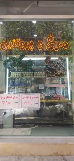 عکس مرغ و تخم‌مرغ برکت