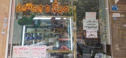 عکس مرغ و تخم‌مرغ برکت