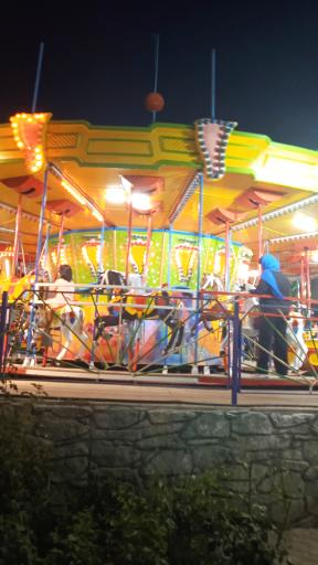 عکس اسب گردان