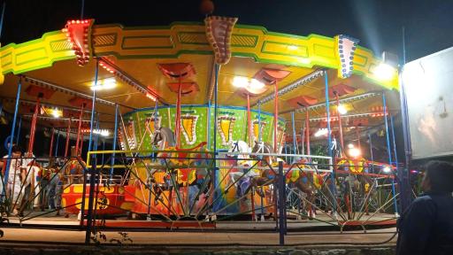 عکس اسب گردان