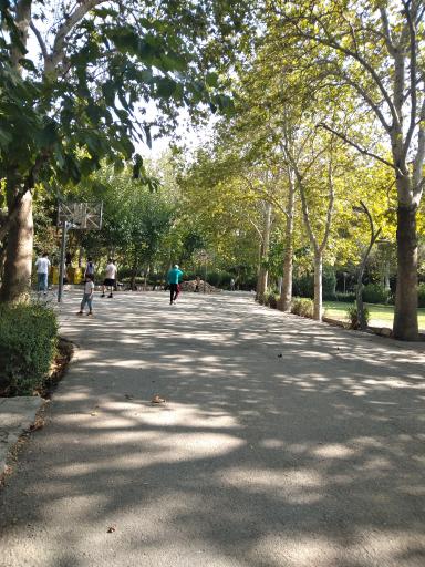 عکس بوستان لاله