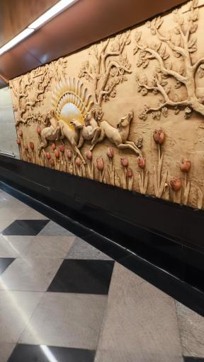 عکس بوستان لاله