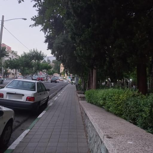 عکس بوستان شطرنج