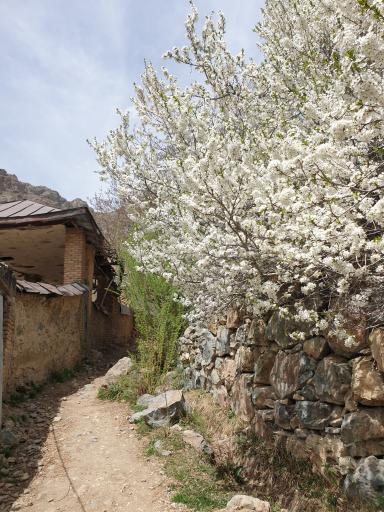 عکس کافه رستوران بهشت اوسون