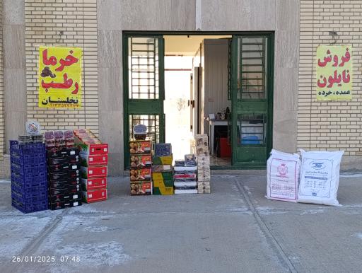 عکس خرما و رطب نخلستان 