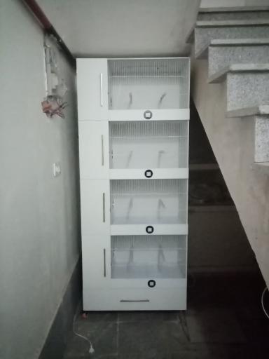 عکس قفس سازی پوکا