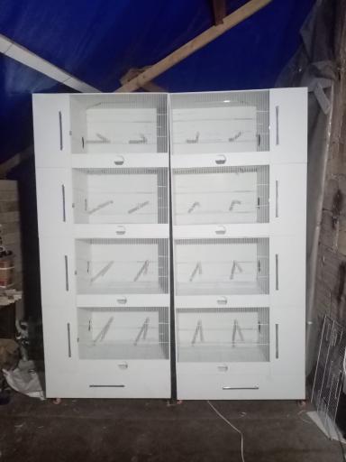 عکس قفس سازی پوکا