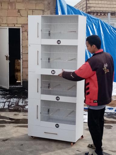 عکس قفس سازی پوکا