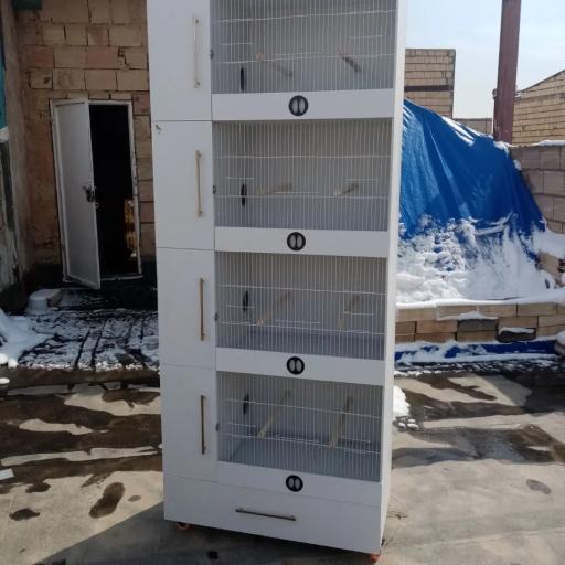 عکس قفس سازی پوکا