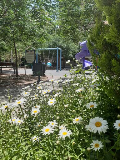 عکس پارک ایمان