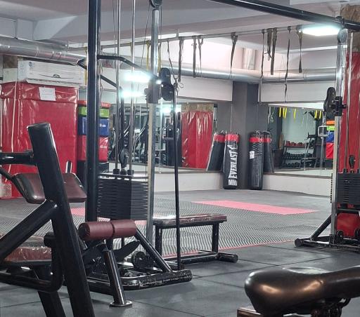 عکس باشگاه بانوان رویال