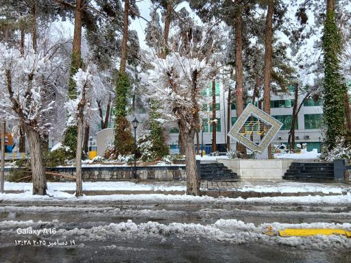 عکس پارک باغ کودک
