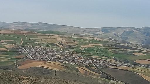 عکس سلولی