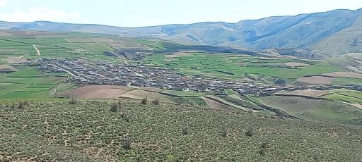 عکس سلولی