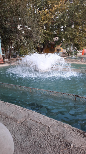 عکس پرورش ماهی قزل آلا جواد 