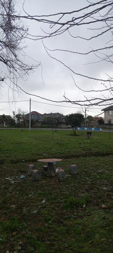 عکس مجموعه ورزشی ایسپیت