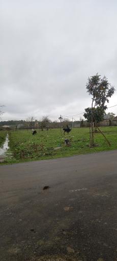 عکس مجموعه ورزشی ایسپیت