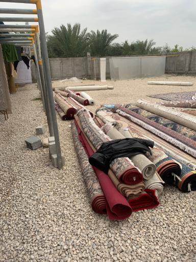 عکس قالیشویی پادری