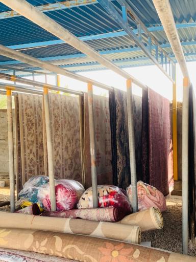 عکس قالیشویی پادری