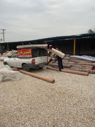 عکس قالیشویی پادری