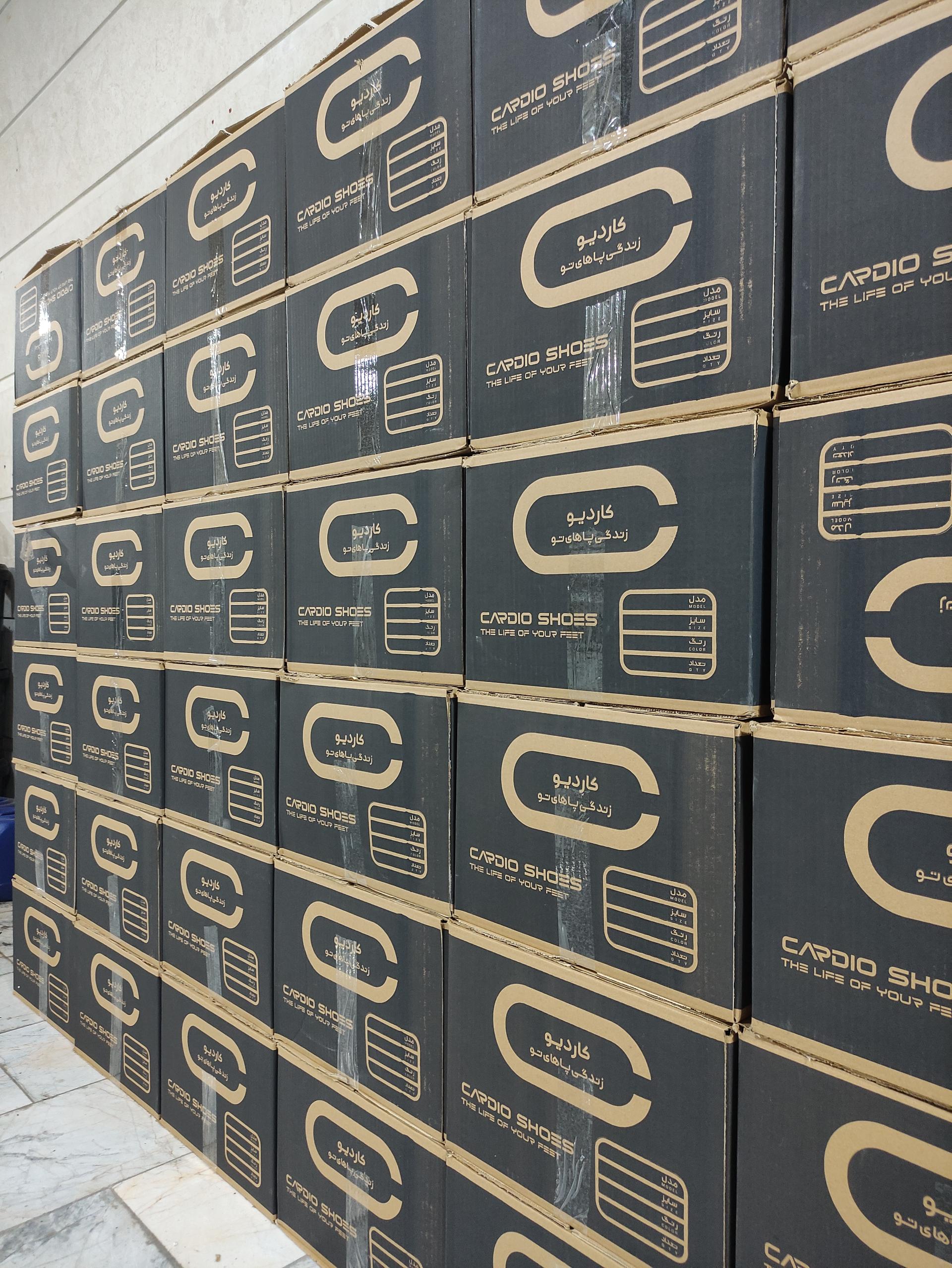 عکس کارخانه کفش کاردیو