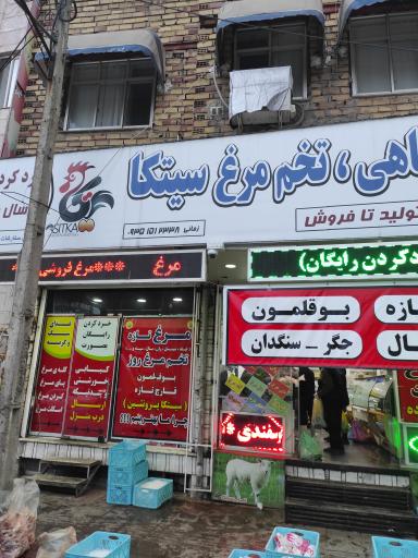 عکس پروتئینی سیتکا