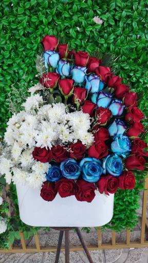 عکس گلسرای رز