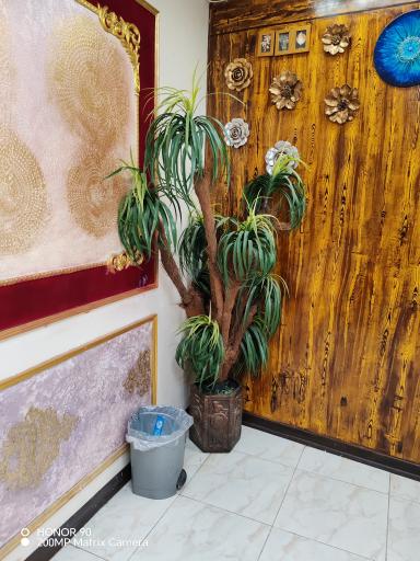 عکس رستوران نخل طلایی