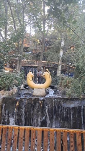 عکس رستوران آرامش