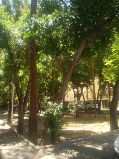 عکس بوستان میلاد 