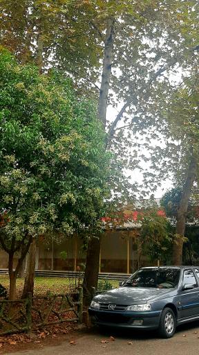 عکس مجتمع فرهنگی اردویی کشوری شهید میرزا کوچک خان رامسر