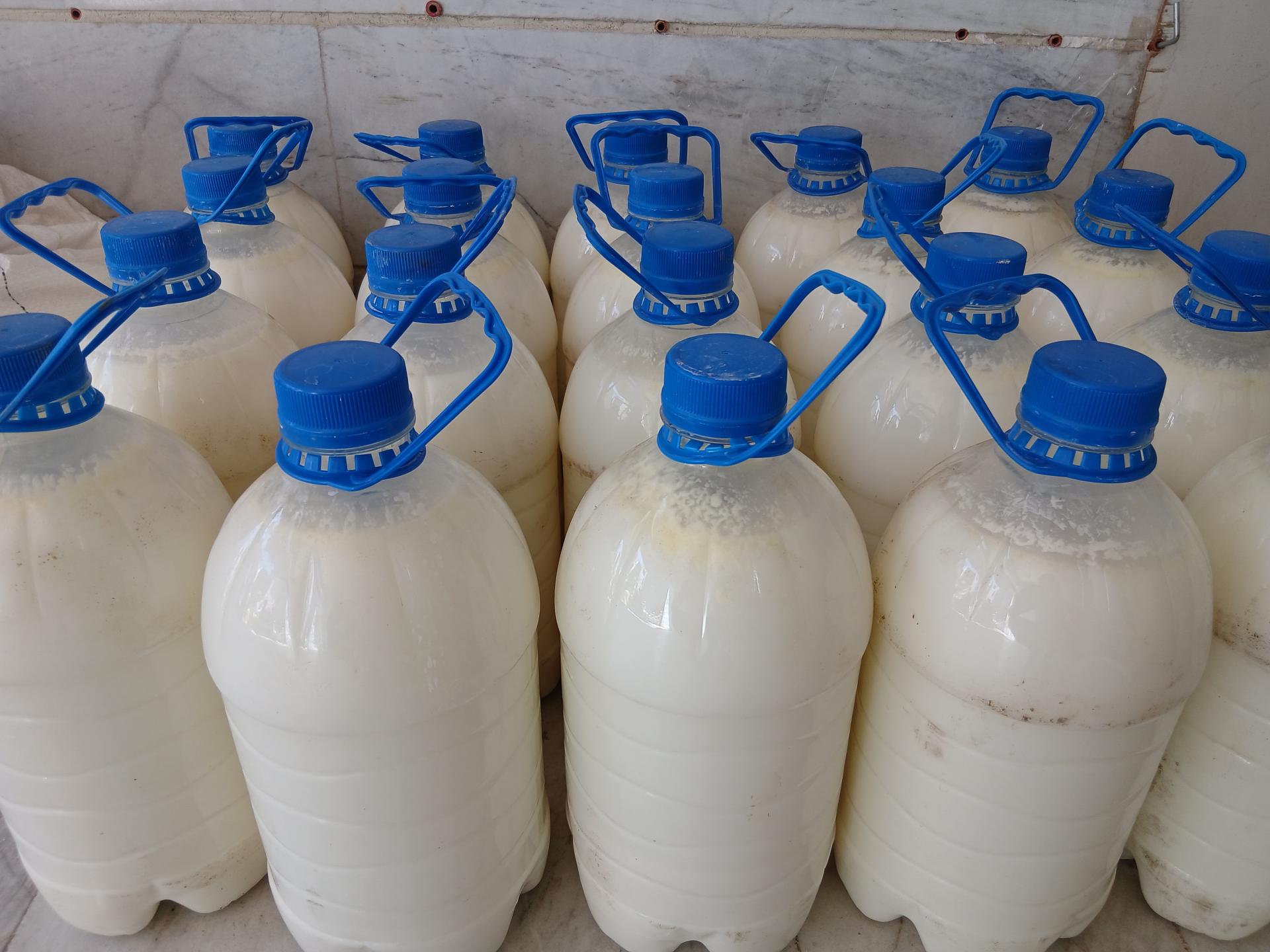 عکس پخش مواد غذایی غدیر