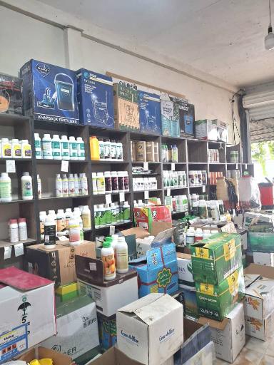 عکس داروخانه گیاه پزشکی ساقه طلایی-مهندس محمدتبار