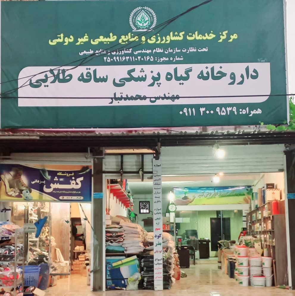 عکس داروخانه گیاه پزشکی ساقه طلایی-مهندس محمدتبار