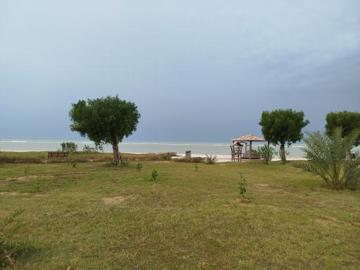 عکس بوستان ساحلی