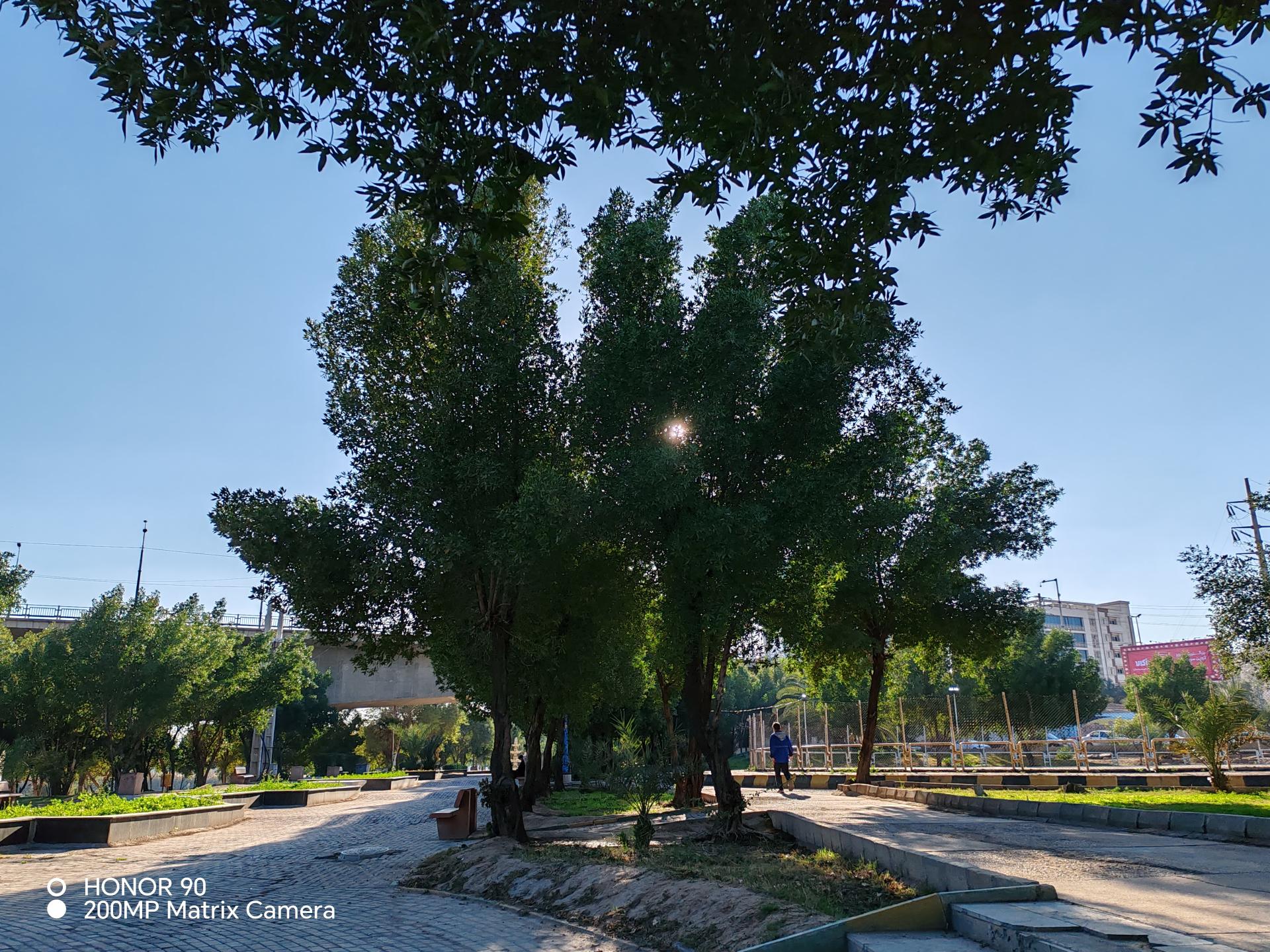 عکس بوستان لیانا