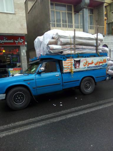 عکس قالیشویی خزان 