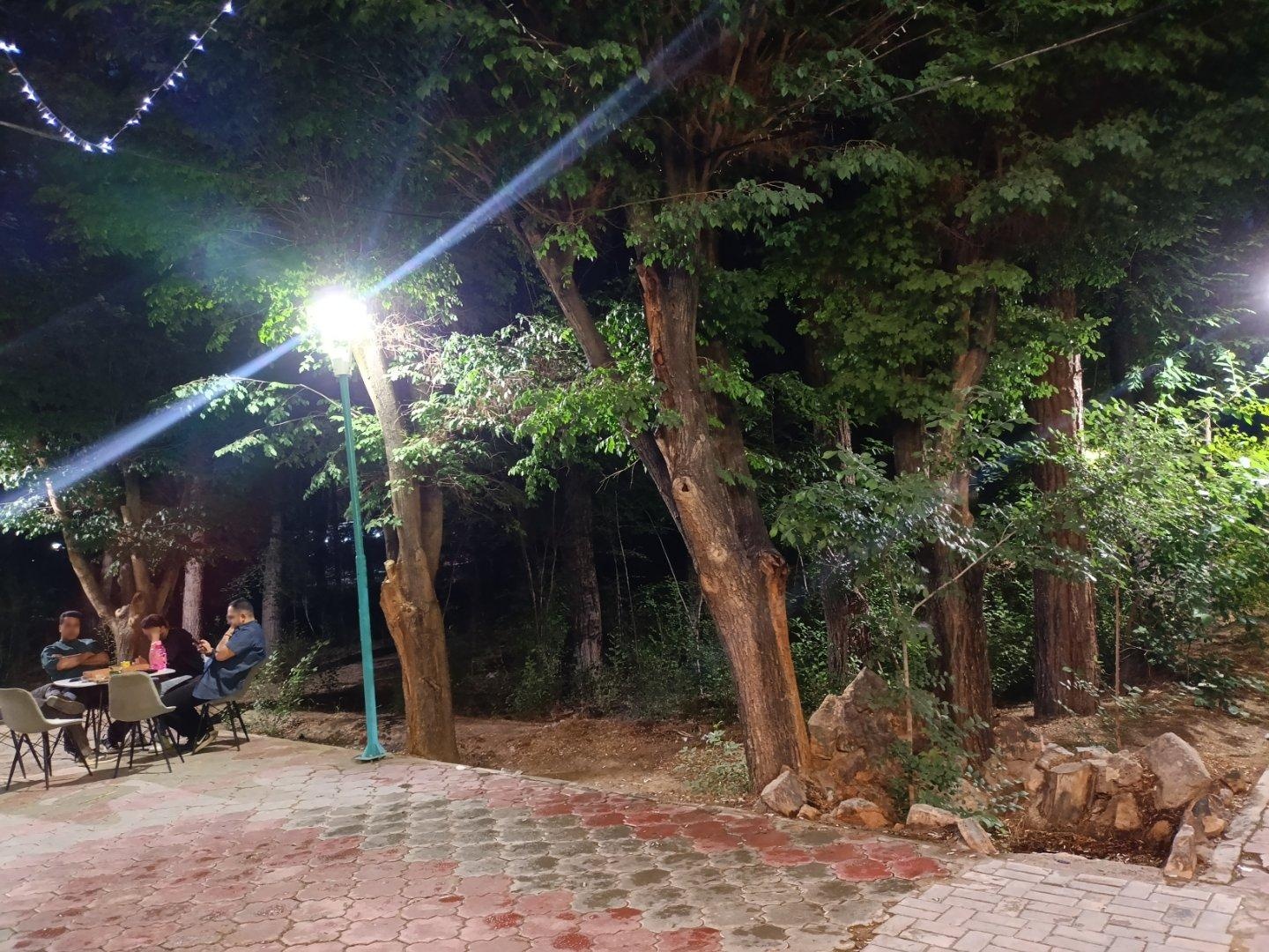 عکس کافه کاج