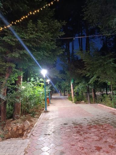 عکس کافه کاج
