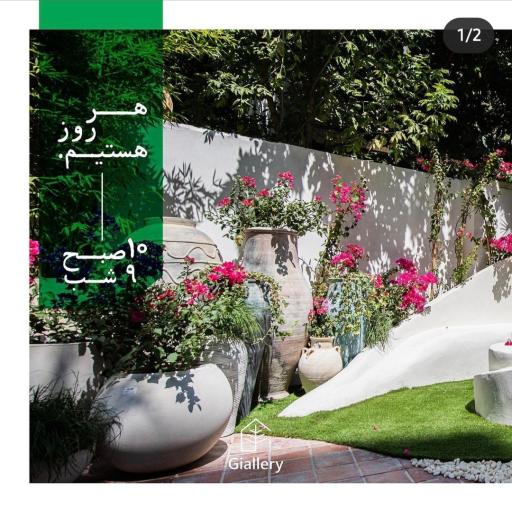 عکس گیالری
