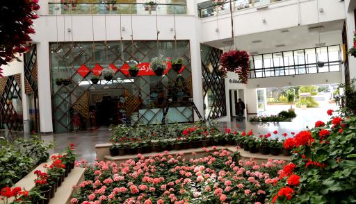 عکس بازارچه