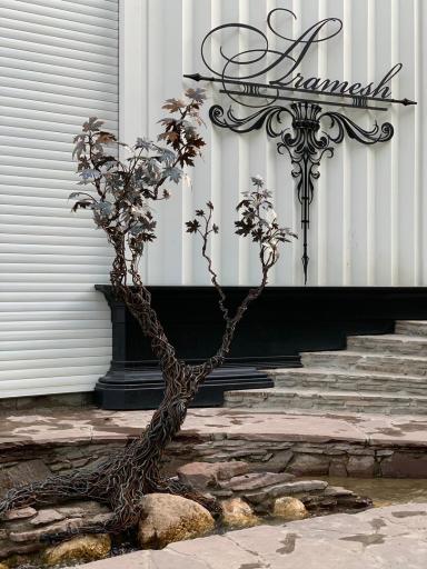 عکس گالری هنری آرامش