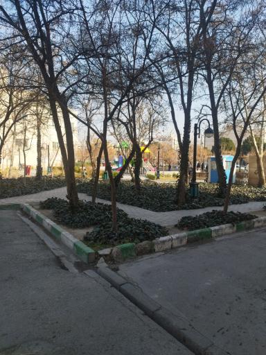 عکس فضای سبز 