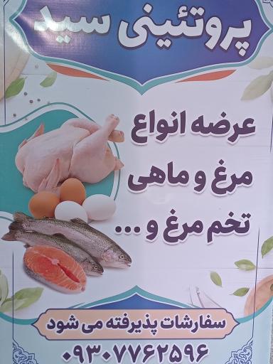عکس مرغ و ماهی سید