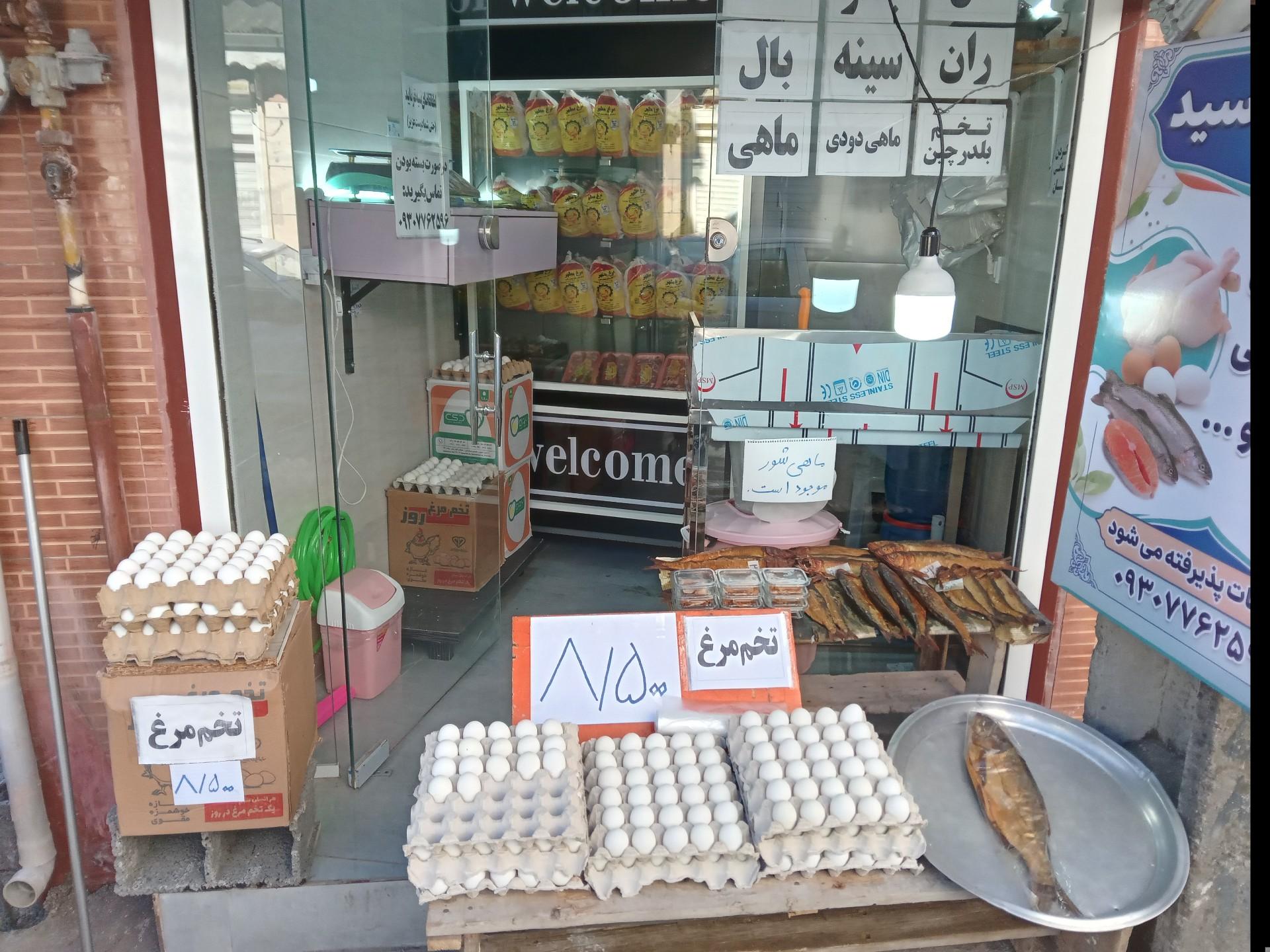 عکس مرغ و ماهی سید