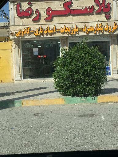 عکس پلاسکو رضا