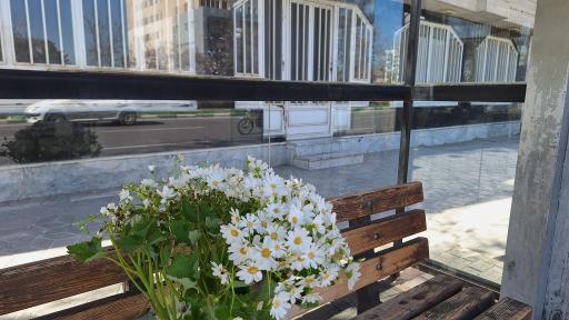 عکس  خیام جنوبی 24