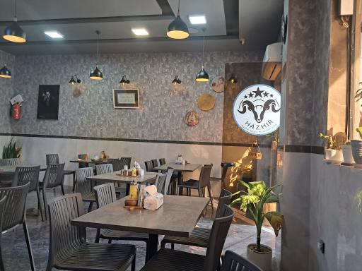 عکس طباخی هژیر