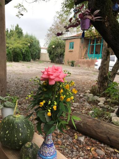 عکس اقامتگاه بومگردی رافا